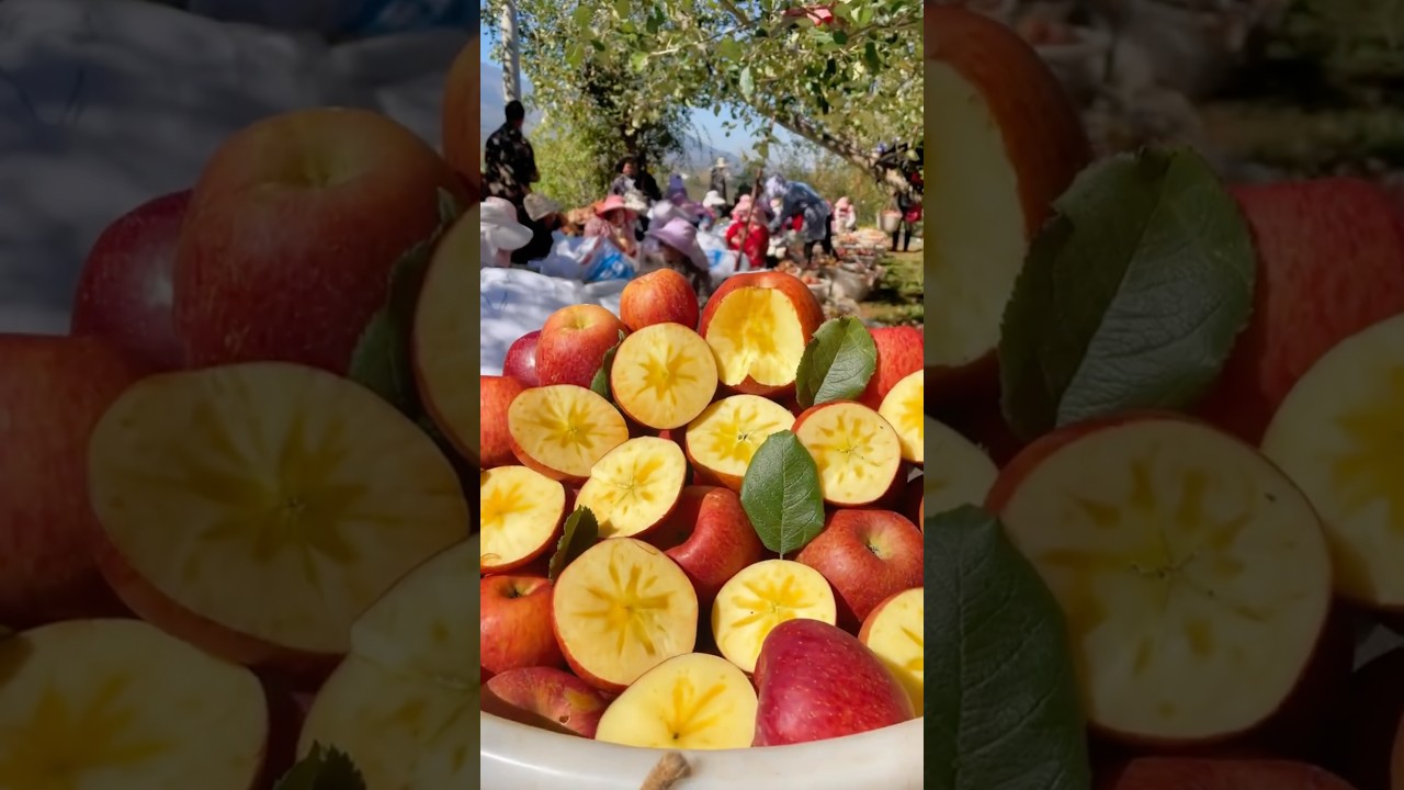 The Trending Fruit Cutting Challenge 