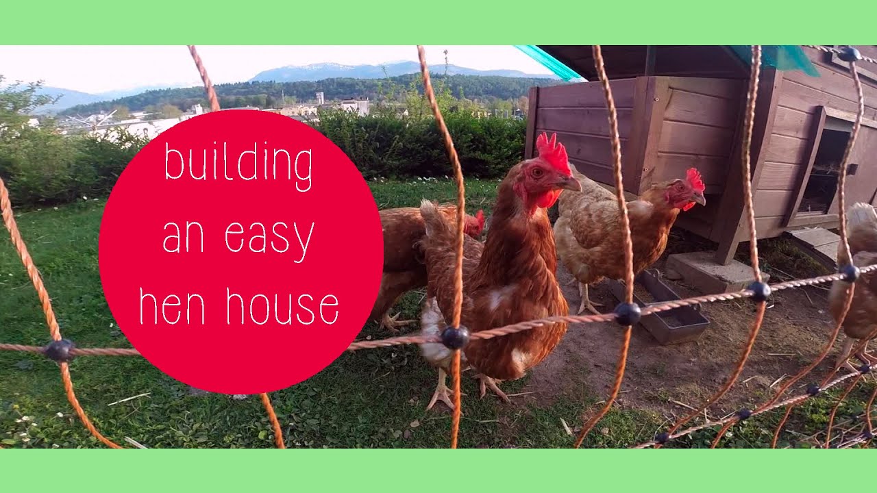 Building a Hen House in 2 Days / EPISODE #8 // GREEN&HUNGRY