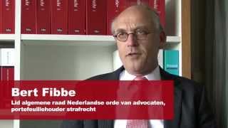 Drie Vragen Aan Bert Fibbe
