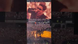 IMG 7810 IMG 7810