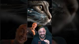 E se o gato fosse do seu tamanho? #biologohenrique #animais #bichoesperto #biologo
