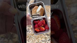 a very real what my toddler ate in a day 😋 #toddler #food #snacks #momlife #sahm