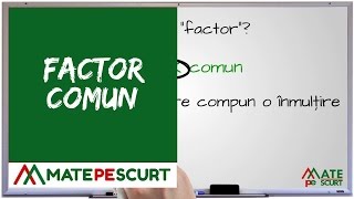 Factor Comun