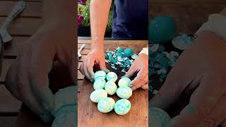 Famous 🎃🕷Spooky Spiderweb Eggs👻, recipe👇 Net Worth