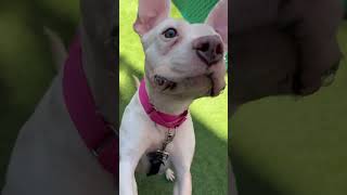 Nines is a 10! 251680 Profile