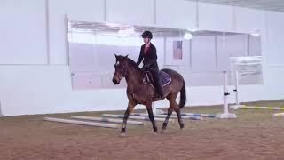 USPC LSR C2 Riding Test Expectations