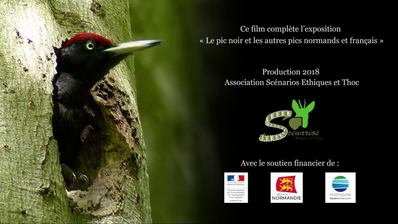 Le Pic noir  une vie de famille intense extraits