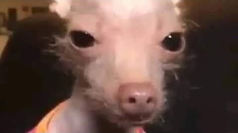 SIGNATURE ASSIGNMENT VIDEO BY XIMENA CORDOVA