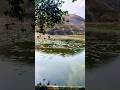 Madurai Nature 😍 | Samanar Hills View 🌿 #viral #trending #nature #reels #viralvideo #shorts #tamil