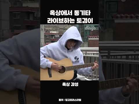 <strong>옥상에서</strong> 통기타 라이브하는 토겸이 #shorts