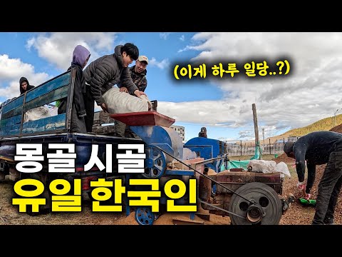 한국인 99%는 모르는 몽골 시골 마을에 내가 살게 된 이유