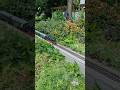 First run of 2025 #trains #gardenrailway #märklin