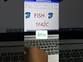 Fish Symbol