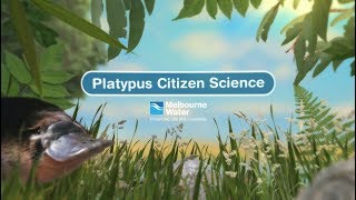 Platypus Citizen Science