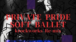 PRIVATE PRIDE / SOFT BALLET cover Re-mix screenshot 3