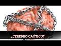 Cómo organizar un cerebro con TDAH sin morir en el intento