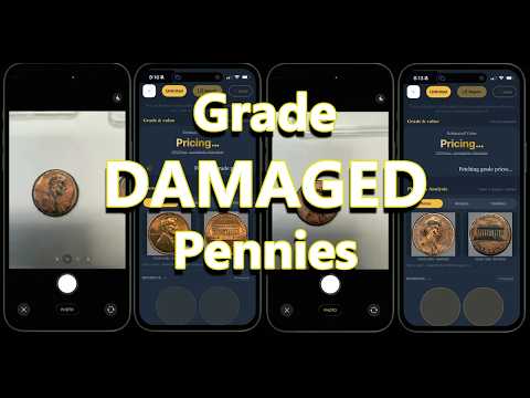 AI Versus Damaged Coins | Did They Break It?