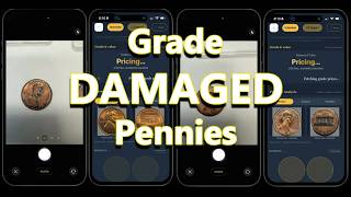 AI Versus Damaged Coins | Did They Break It?