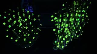 Dkp - And So It Begins Now I Have 2