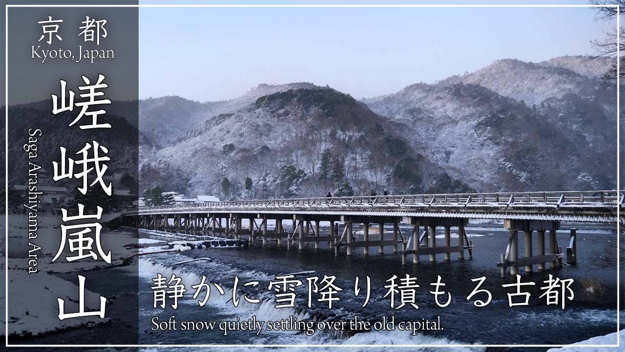 冬の京都❄️ 嵯峨嵐山　白銀の特別な日の京都。渡月橋〜天龍寺〜竹林の小径〜野宮神社〜上寂光寺〜祇王寺〜大覚寺〜清涼寺 [No.506]