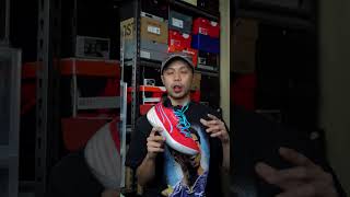Performance Review Puma All Pro Nitro