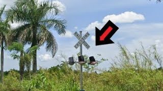 Abandoned Railroad Crossing Vanishing in Tropical Paradise