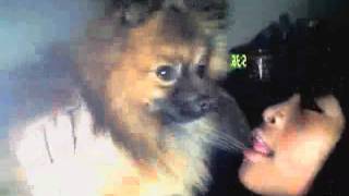 Capture_20100211_5.wmv