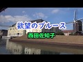 欲望のブルース 風景 西田佐知子