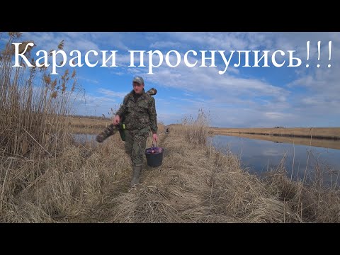 С осени не ловил столько рыбы. Первые караси жидкой воды 2022.