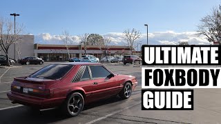 Everything you need to know about the Fox Mustang! Detailed Explanation!