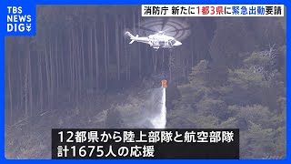 岩手・大船渡市の山林火災で総務省消防庁が27日に新たに東京・埼玉など1都3県に緊急消防援助隊の出動要請｜TBS NEWS DIG