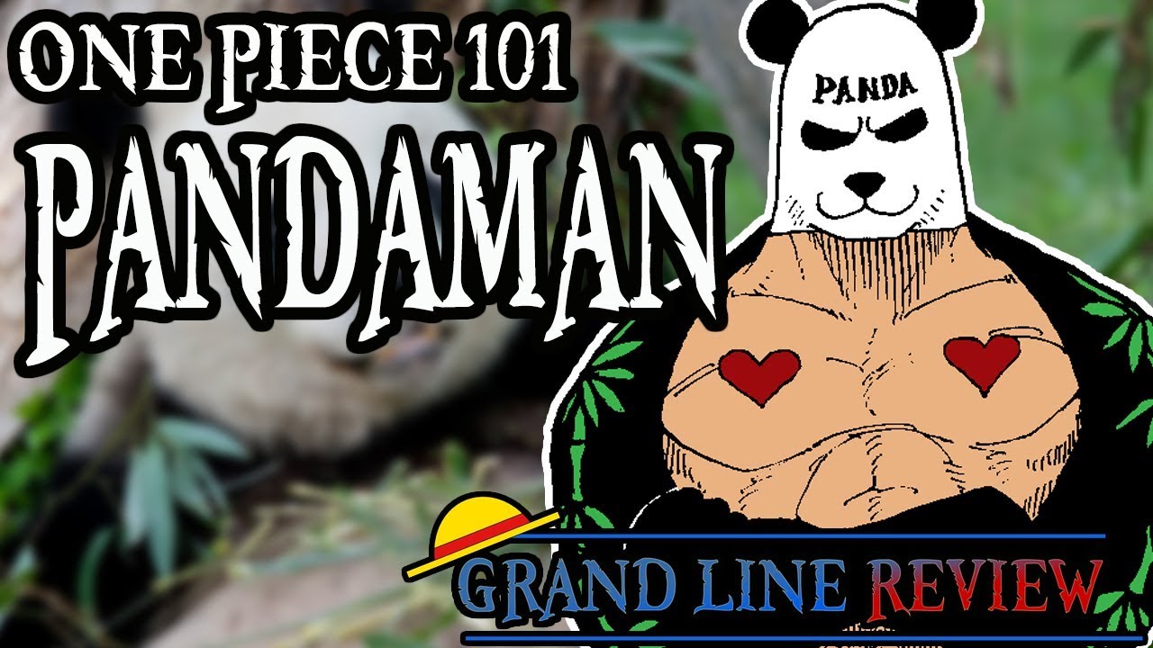 The Pandaman Explained One Piece 101 Youtube