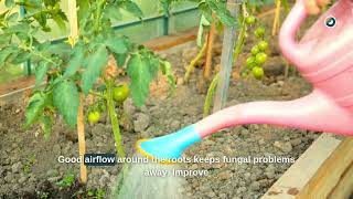 Protecting Agribusiness Profitability Through Precision Field Operations | CYOL