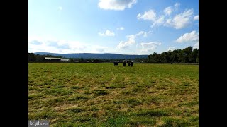 Lots And Land For Sale - 0 Morrisonville Rd, Lovettsville, Va 20180
