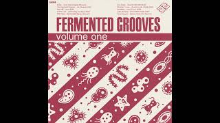 Coy Haste - Sounds Unlimited Edit - Fermented Grooves Vol 1 Sf004