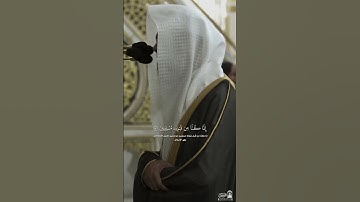 #تلاوة بديعة من #سورة_القصص لفضيلة الشيخ #محمد_برهجي