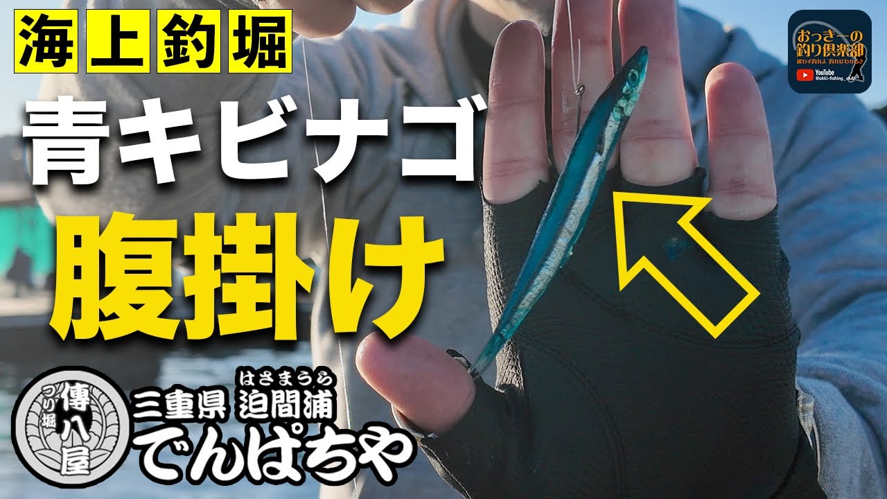 【海上釣堀】キビナゴの使い方！傳八屋で青キビナゴが活躍！