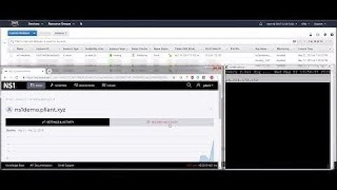 Pliant.io Automates NS1 and AWS