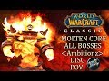 Molten Core Priest Discipline Healing PoV | WoW Classic Gameplay