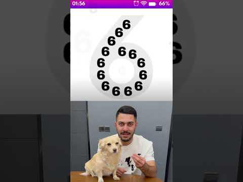 چند تا عدد ۶ میبینی عمرا درست بگی