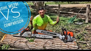 Celebrity Stihl MS 462C vs MS 291 Farm Boss Comparison Profile