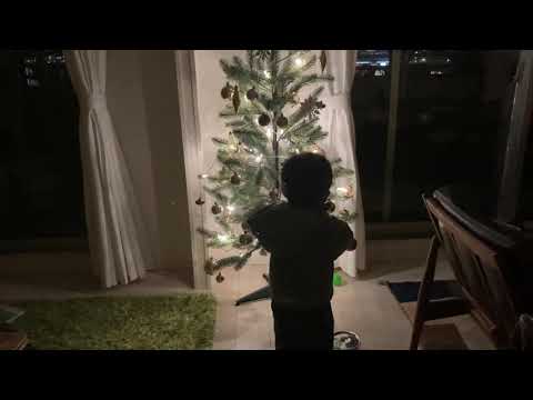 もうすぐ2歳初めてのクリスマスツリー