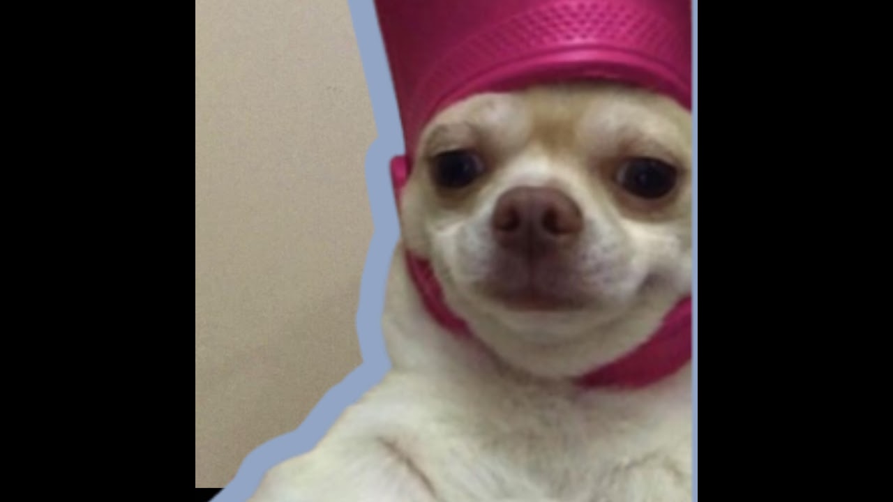 On My Dj Era - LIVE JUST CHATTING !!!!!