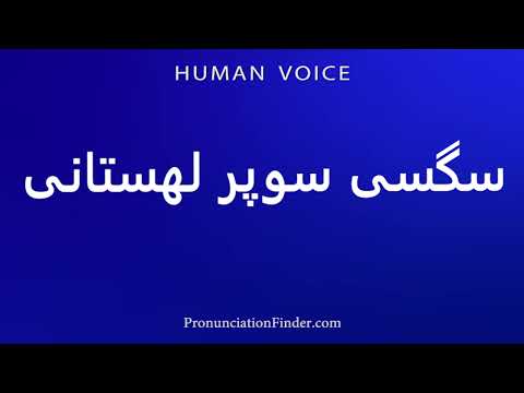    سگسی سوپر لهستانی