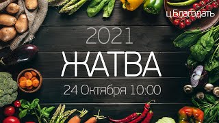 Жатва 2021 | Церковь Благодать