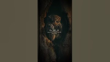أحمد خضر ما تيسر من سورة آل عمران..
