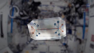NASA ScienceCasts: A Chip Off the Old Block