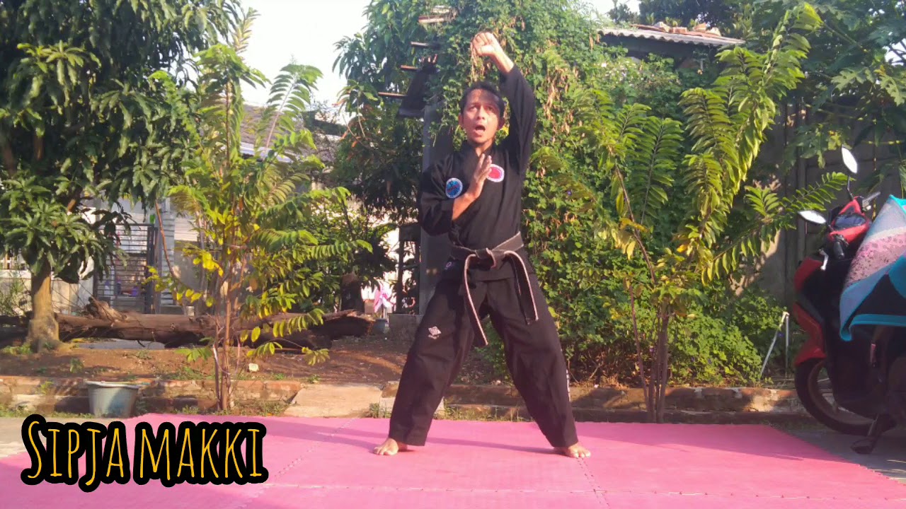 Hapkido 101 ; Sipja Makki dan aplikasinya