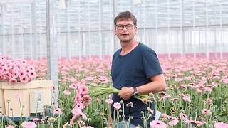 Voeden en tuinbouw – Ronald van Veen over het gemak