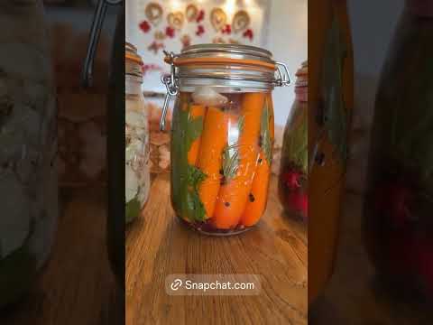 Joelle Mardinian (@joellemardinian) archived Instagram Stories compilation from June 1, 2026